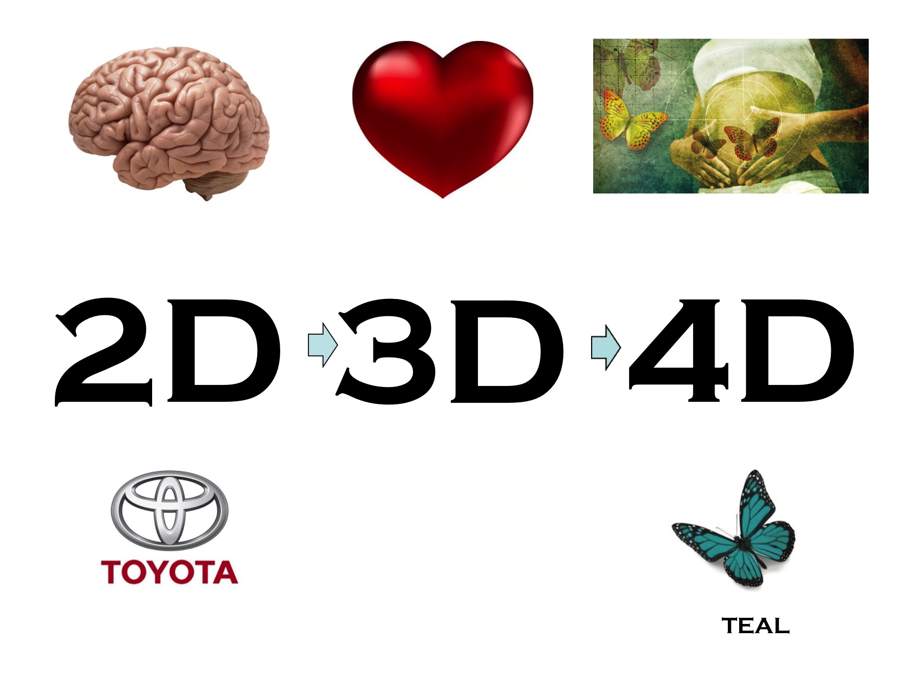 2D-3D-4D Lean slide - respect, connectie, balans - verspilling talent